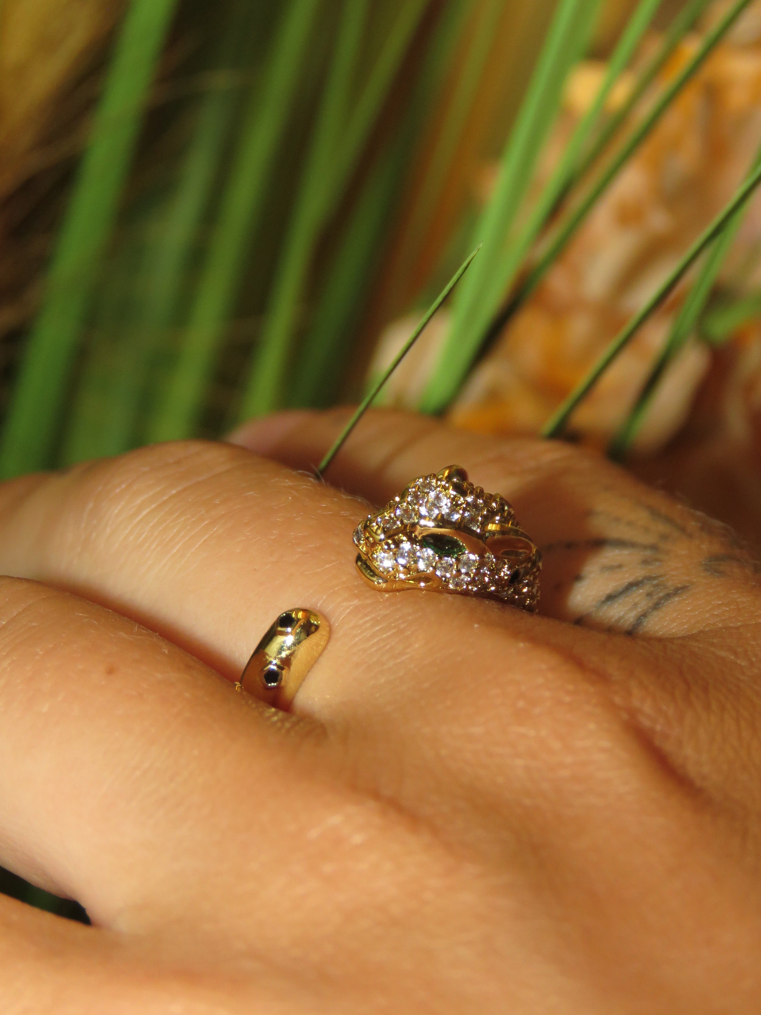 RINGS